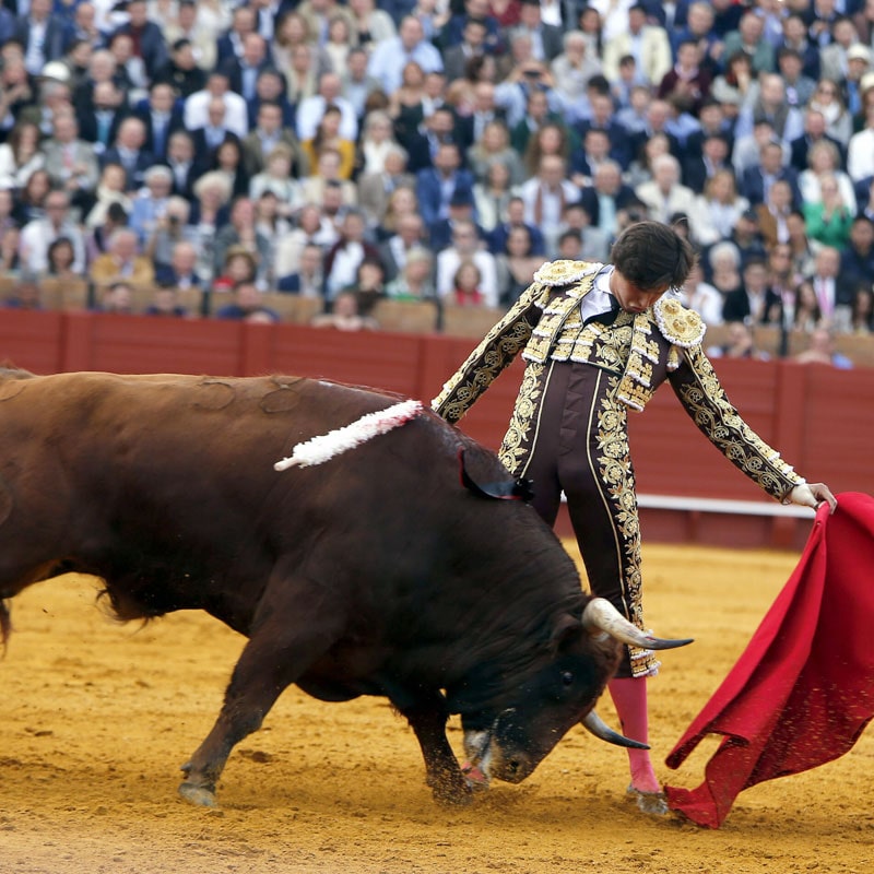 Real Maestranza - TravelToSpain.info - Explore Spain